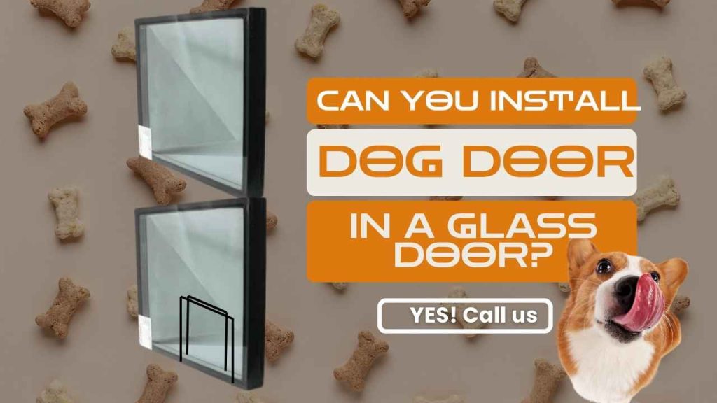 Can you install dog door in glass door